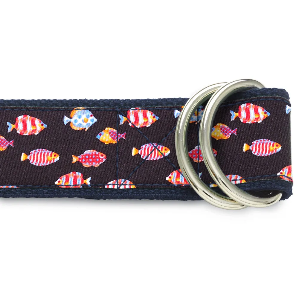 Acquario Onyx - D-Ring Belts
