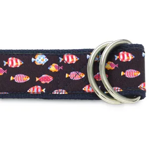 Acquario Onyx - D-Ring Belts