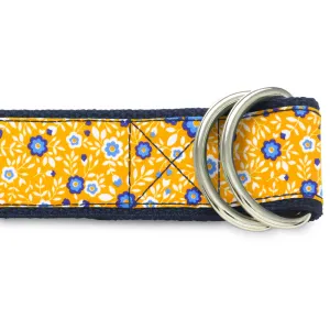 Chicorium - D-Ring Belts