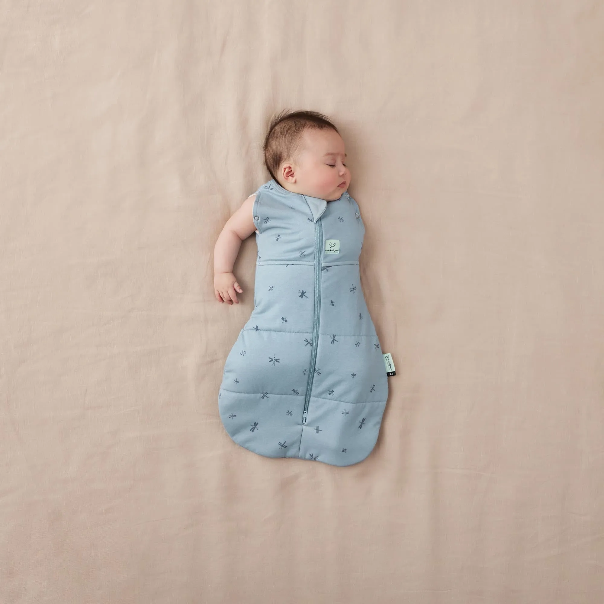 ergoPouch Cocoon Swaddle Bag 2.5 TOG - Dragonflies
