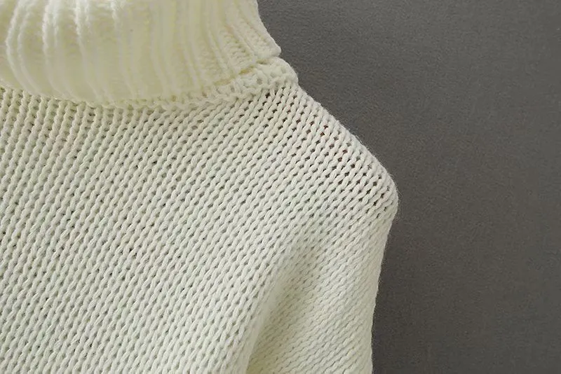 Knit Lantern Sleeve High Collar Crop Tops Sweaters