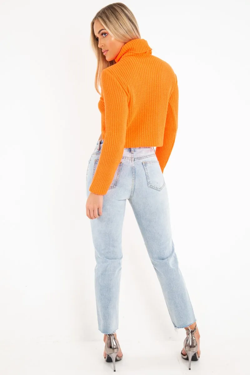 Light Wash Extreme Front Rip Mom Jeans - Miko