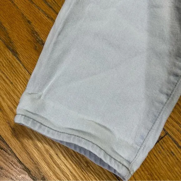 Madewell The Momjean in Bloomfield Wash Tencel Denim Edition Size 29