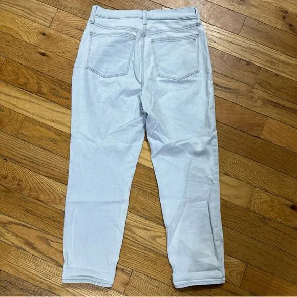 Madewell The Momjean in Bloomfield Wash Tencel Denim Edition Size 29