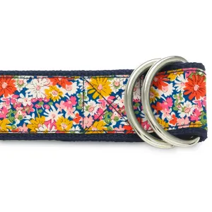 Osborne (Liberty of London) - D-Ring Belts