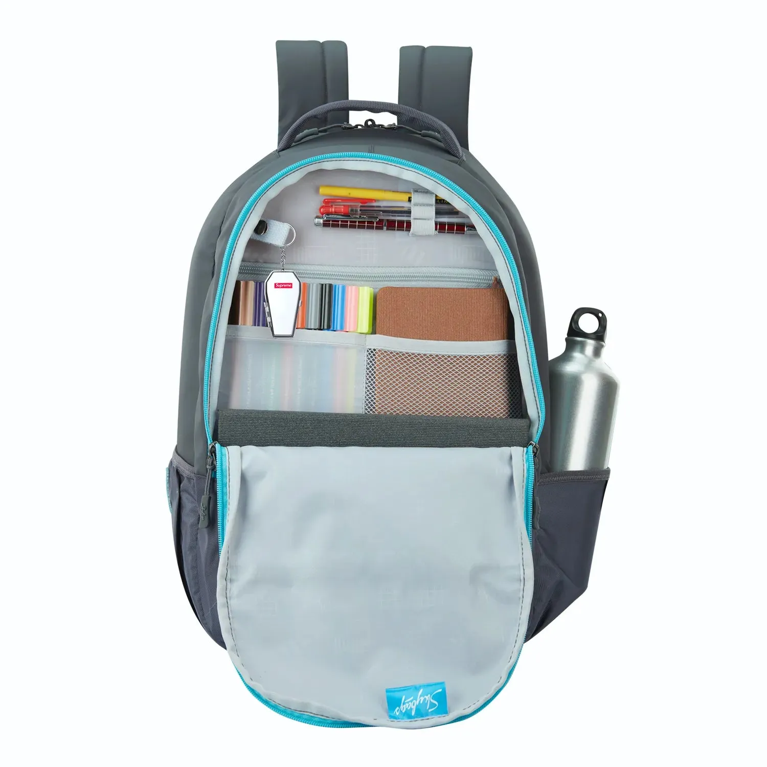 Skybags Campus  01 Laptop Backpack Grey