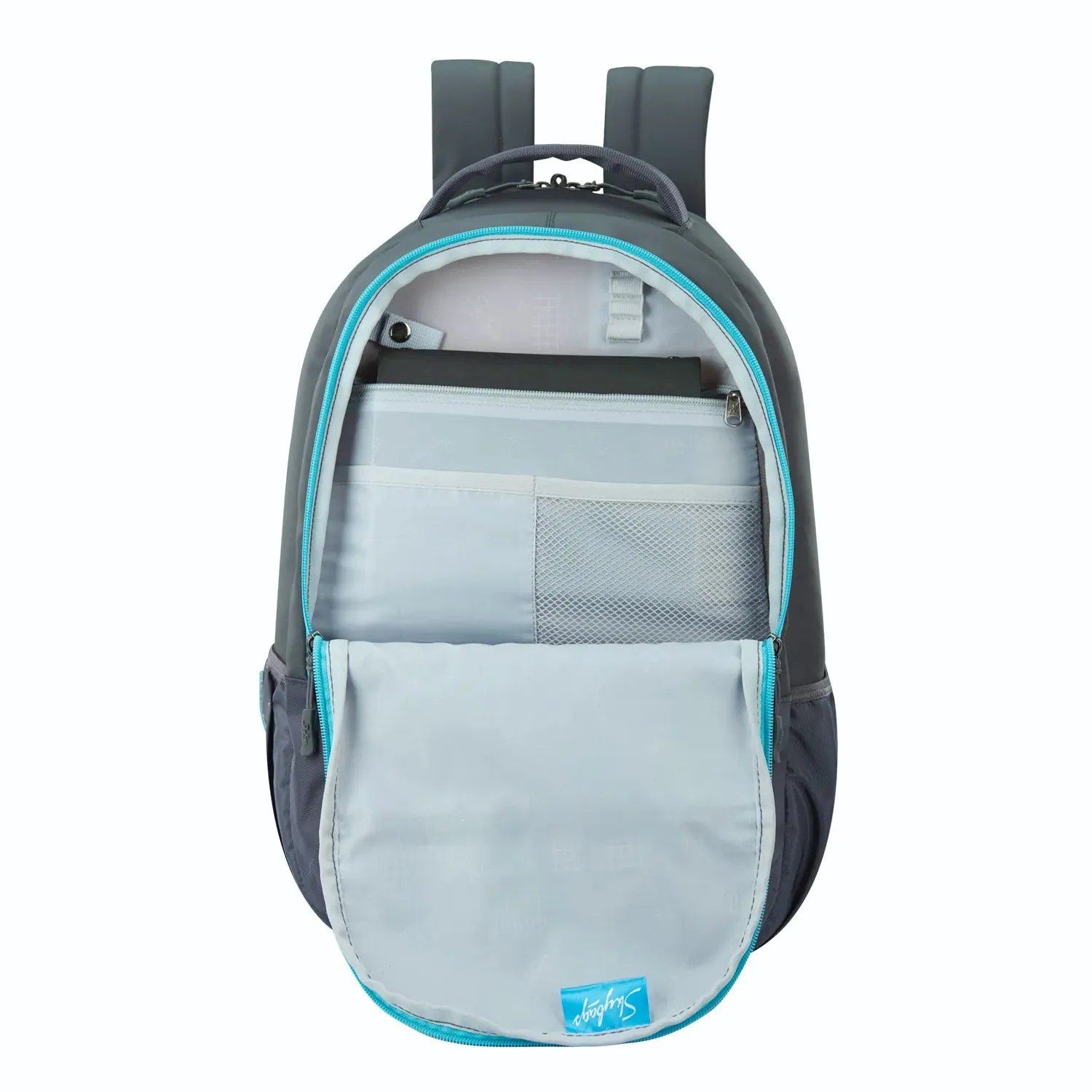 Skybags Campus  01 Laptop Backpack Grey