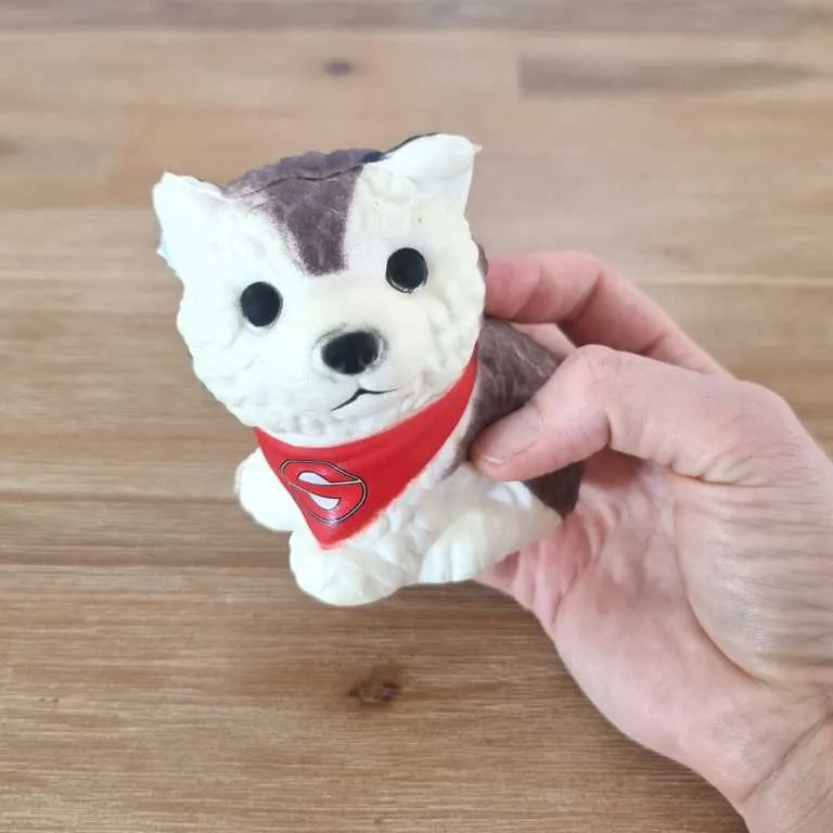Squishy Fidget Mr Husky - 10 Pack
