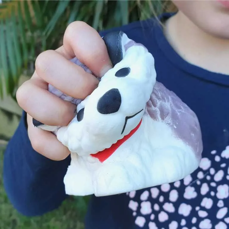 Squishy Fidget Mr Husky - 10 Pack