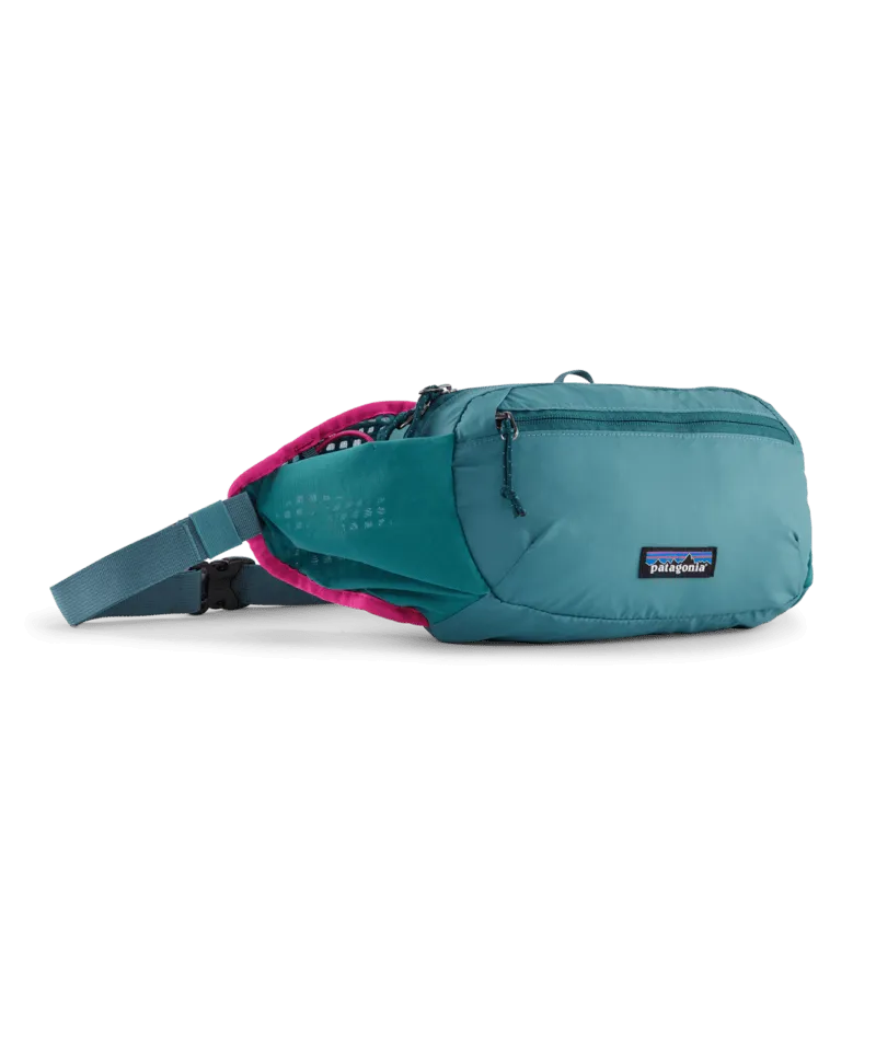 Terravia Hip Pack