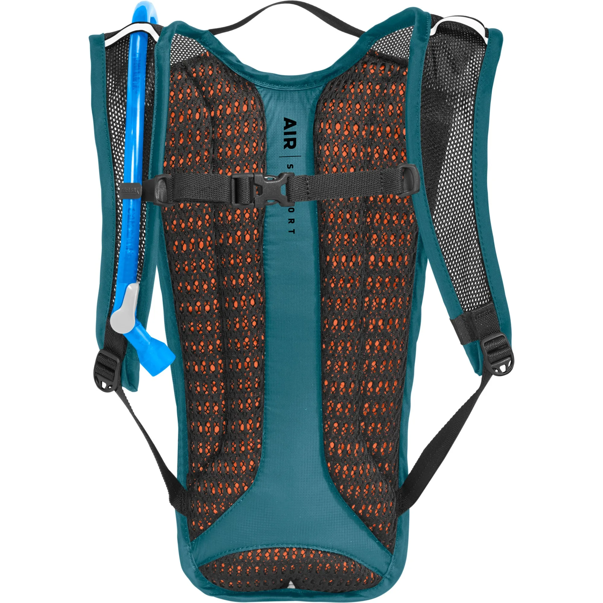 Women's Rogue Light