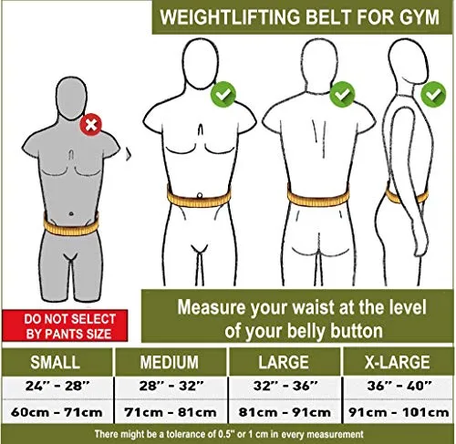 XTRIM Men's Gym Belt (Grey, XL)